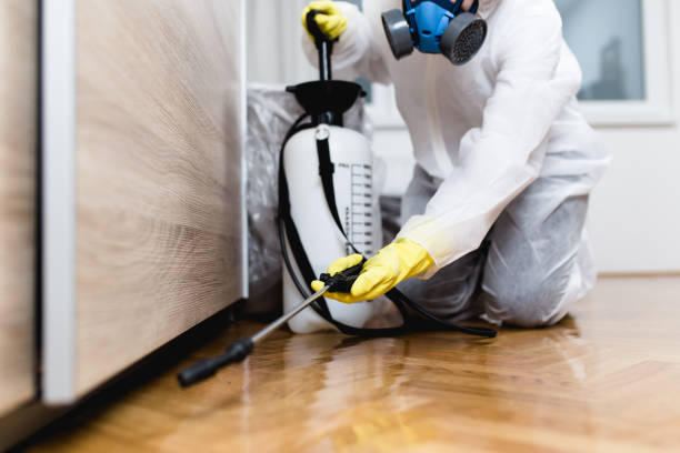 Best Rat Extermination Near Me  in Morris, OK