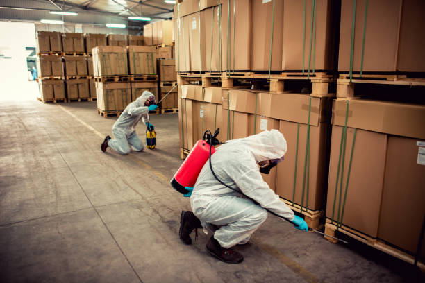 Best Affordable Pest Control Services  in Morris, OK