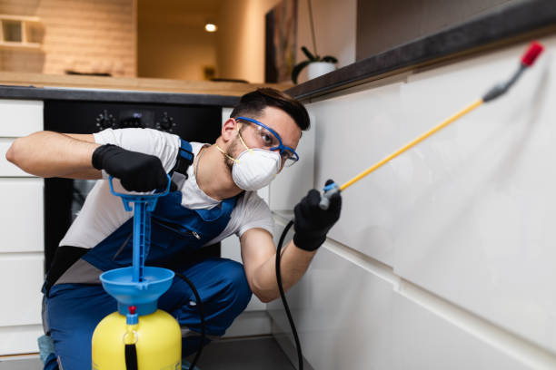 Best Wasp Removal Services  in Morris, OK
