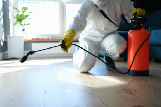 Pest Prevention Services in Morris, OK