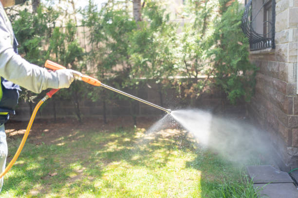 Wasp Removal Services in Morris, OK