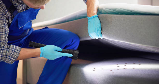 Best Flea Control Services  in Morris, OK